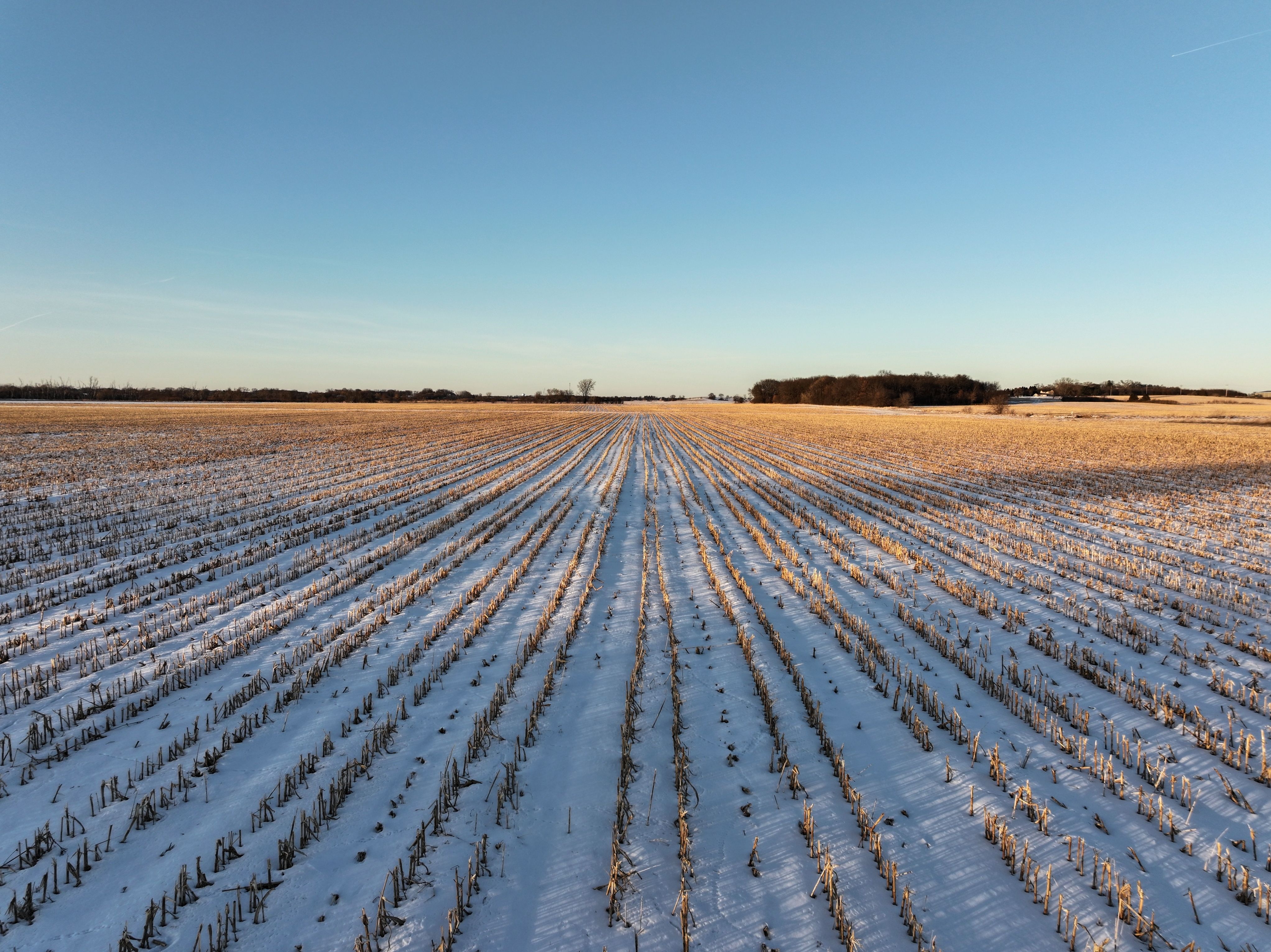 Listing Photo: Walworth-Wisconsin-179-Acres (4)